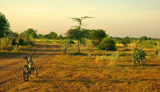 It's beautiful and peaceful.